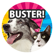 ペットお掃除｜東京